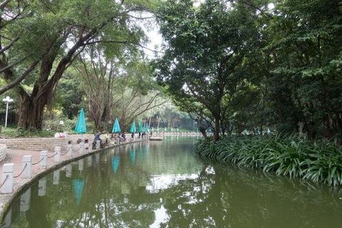 1.淮阳湖公园-第1张图片-彩蝶百科