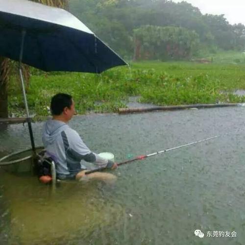 雨天垂钓的诗词-第1张图片-彩蝶百科