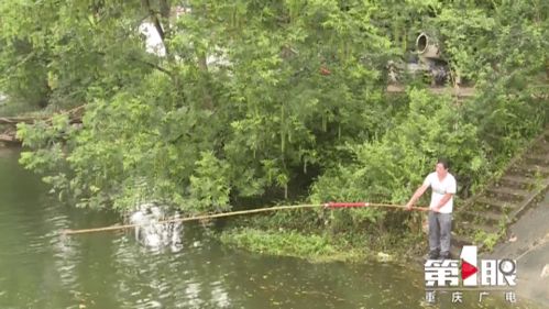 1.垂钓设施和环境-第1张图片-彩蝶百科 1.垂钓设施和环境-第1张图片-彩蝶百科