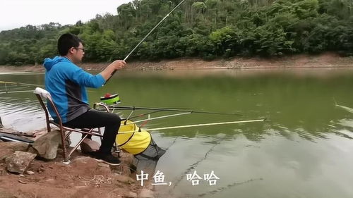 兄弟连垂钓园-第1张图片-彩蝶百科