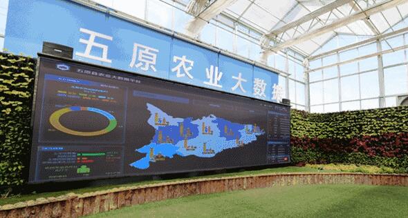 常熟农业科技发展有限公司-第1张图片-彩蝶百科