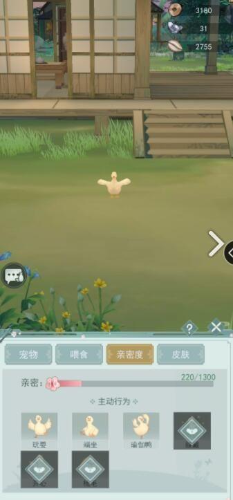 江湖悠悠养宠物-第1张图片-彩蝶百科 江湖悠悠养宠物-第1张图片-彩蝶百科