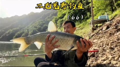 二毛荒野垂钓-第1张图片-彩蝶百科