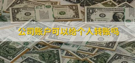 大数据到底能查到个人的什么-第1张图片-彩蝶百科