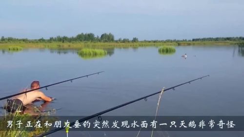 河边垂钓唯美句子-第1张图片-彩蝶百科 河边垂钓唯美句子-第1张图片-彩蝶百科