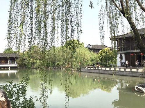 野钓垂钓园-第1张图片-彩蝶百科