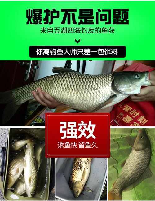 春季垂钓草鱼的最佳饵料选择-第1张图片-彩蝶百科