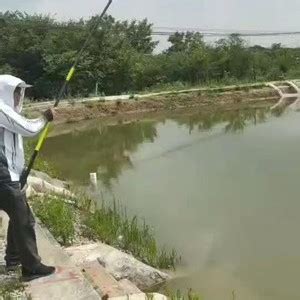 佘村水库-第1张图片-彩蝶百科