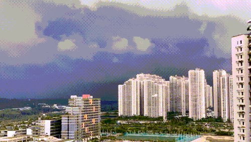 城市森林与人类健康-第1张图片-彩蝶百科
