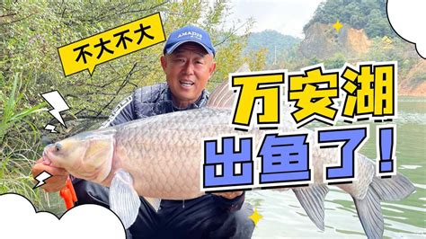 惊心垂钓纪录片-第1张图片-彩蝶百科 惊心垂钓纪录片-第1张图片-彩蝶百科