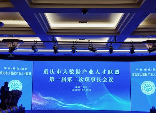 重庆大数据企业调研中心官网-第1张图片-彩蝶百科