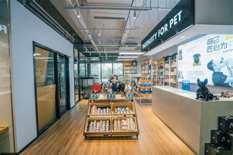 浦北宠物店联系方式电话-第1张图片-彩蝶百科