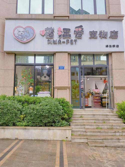 芜湖有什么好的宠物店在哪里-第1张图片-彩蝶百科 芜湖有什么好的宠物店在哪里-第1张图片-彩蝶百科