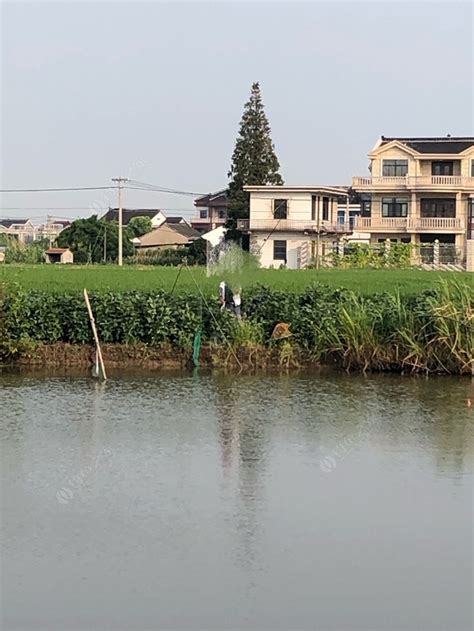 蓝田垂钓中心在哪里-第1张图片-彩蝶百科