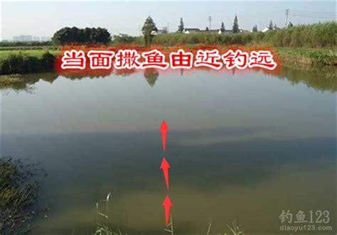 全国最新黑坑钓鱼软件-第1张图片-彩蝶百科 全国最新黑坑钓鱼软件-第1张图片-彩蝶百科