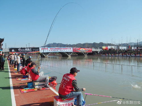 漯河露营垂钓基地在哪-第1张图片-彩蝶百科