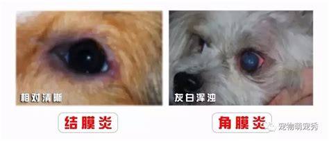 原因:-第1张图片-彩蝶百科 原因:-第1张图片-彩蝶百科
