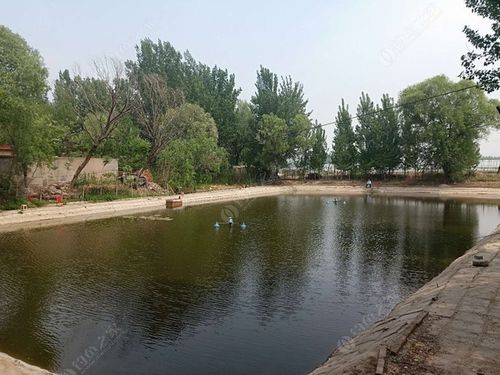 可以烧烤钓鱼的地方-第1张图片-彩蝶百科 可以烧烤钓鱼的地方-第1张图片-彩蝶百科