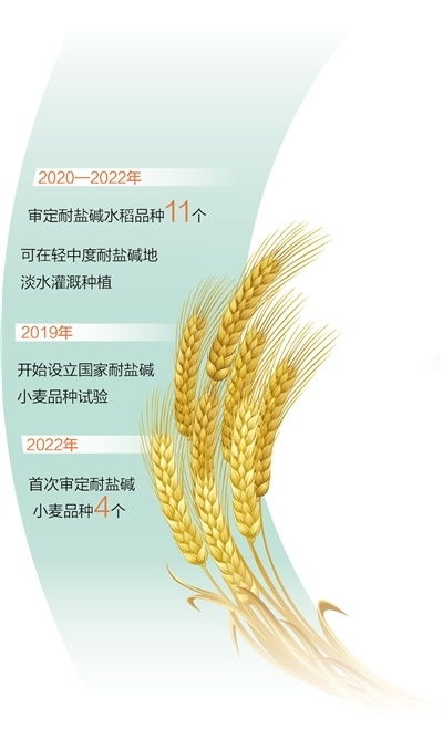 农业大数据的定义-第1张图片-彩蝶百科
