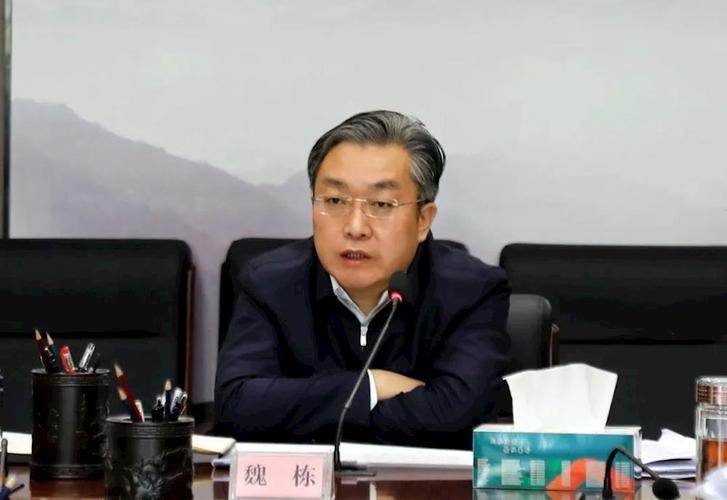 魏平大数据局局长的角色-第1张图片-彩蝶百科