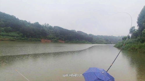 石门子水库钓鱼-第1张图片-彩蝶百科