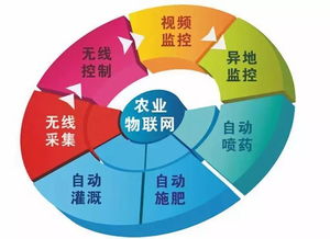 物联网 大数据-第1张图片-彩蝶百科 物联网 大数据-第1张图片-彩蝶百科