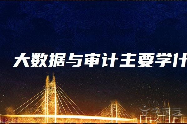 大数据审计公共管理专业就业前景-第1张图片-彩蝶百科