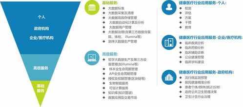 大数据由哪个公司提出的-第1张图片-彩蝶百科