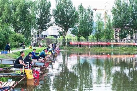 徐州潘塘花鸟市场-第1张图片-彩蝶百科 徐州潘塘花鸟市场-第1张图片-彩蝶百科