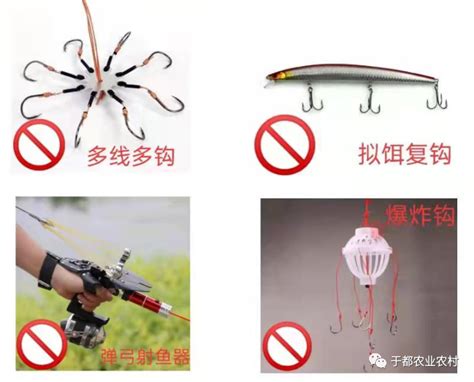 垂钓怎么教-第1张图片-彩蝶百科