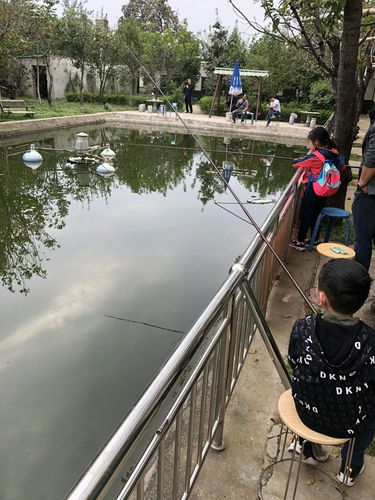 五亩鱼塘一年可以挣多少钱-第1张图片-彩蝶百科