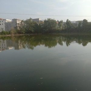刘皇甫村-第1张图片-彩蝶百科