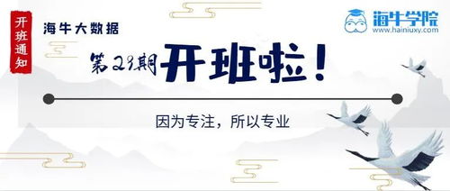 海牛数科-第1张图片-彩蝶百科