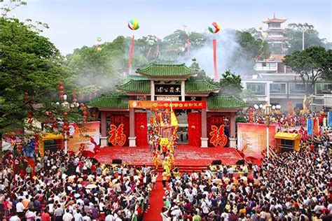 选择您的新伙伴-第1张图片-彩蝶百科