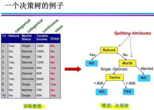 大数据分析与挖掘的关系-第1张图片-彩蝶百科 大数据分析与挖掘的关系-第1张图片-彩蝶百科