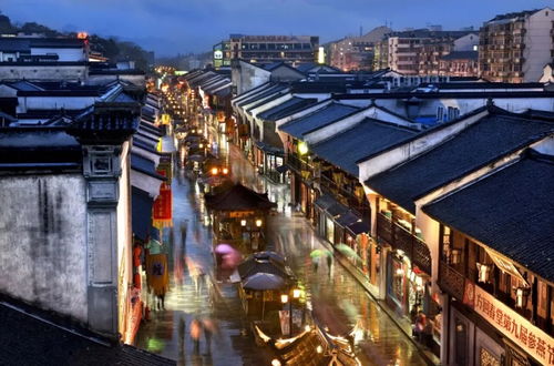 1.步行街区-第1张图片-彩蝶百科