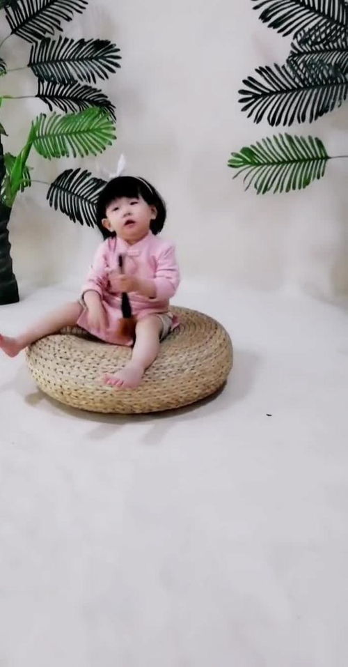 捕捉瞬间-第2张图片-彩蝶百科 捕捉瞬间-第2张图片-彩蝶百科
