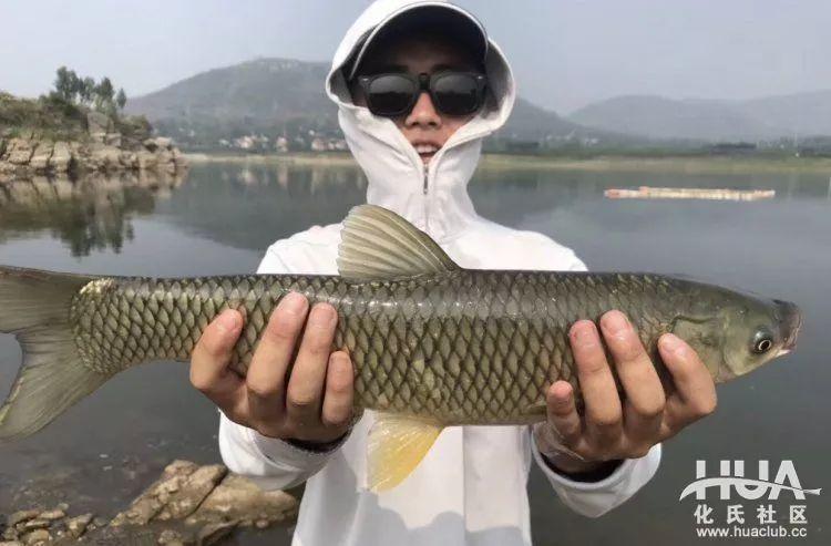 白云水库-第1张图片-彩蝶百科