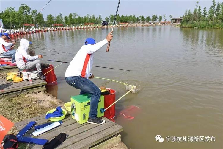 余姚各水库水位-第1张图片-彩蝶百科