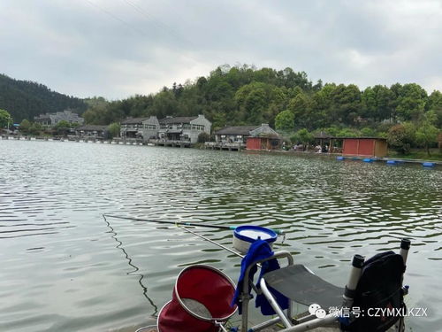 男女自驾垂钓视频-第1张图片-彩蝶百科