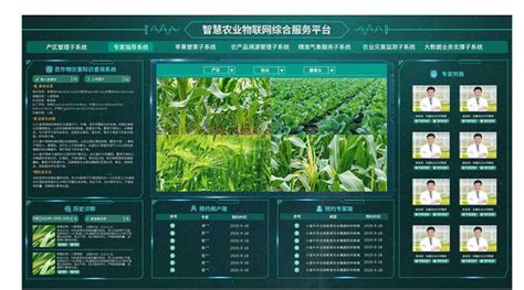山东寿光农业科技有限公司-第1张图片-彩蝶百科 山东寿光农业科技有限公司-第1张图片-彩蝶百科
