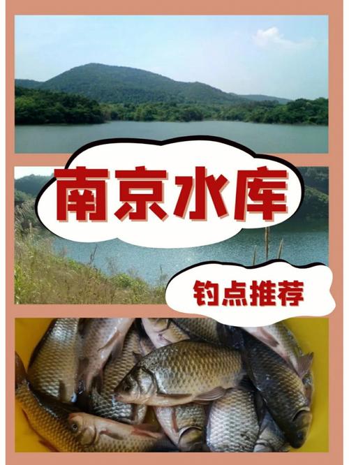 南京金港垂钓园在哪里-第1张图片-彩蝶百科