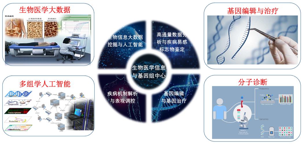 医学数据挖掘与大数据处理-第1张图片-彩蝶百科