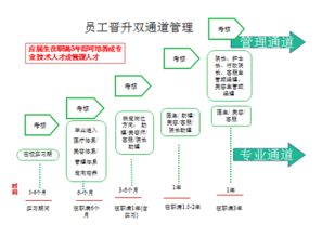 宠物公司管理-第1张图片-彩蝶百科