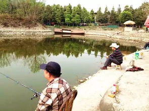 秦皇岛海边钓场-第1张图片-彩蝶百科