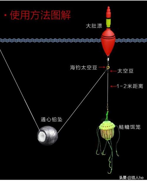 钓鲢鳙水深多少是合适-第1张图片-彩蝶百科 钓鲢鳙水深多少是合适-第1张图片-彩蝶百科