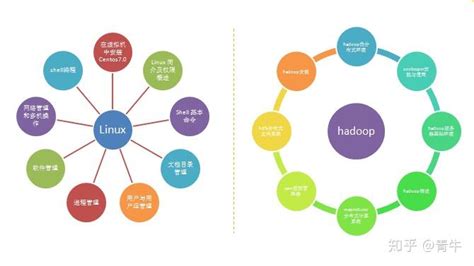 什么学历可以学-第1张图片-彩蝶百科 什么学历可以学-第1张图片-彩蝶百科