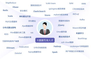 大数据与会计行业现状及发展趋势-第1张图片-彩蝶百科