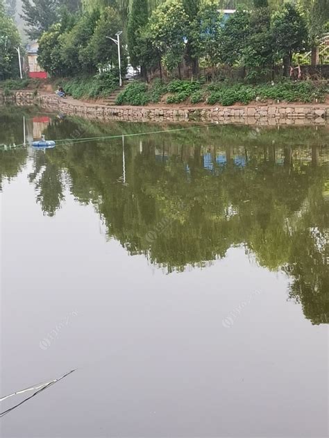 漯河市龙城-第1张图片-彩蝶百科