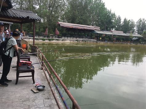 莱芜钓场-第1张图片-彩蝶百科 莱芜钓场-第1张图片-彩蝶百科